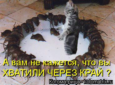 А вам не кажется, что вы ХВАТИЛИ ЧЕРЕЗ КРАЙ ?... Котоматрица: А вам не кажется, что вы ХВАТИЛИ ЧЕРЕЗ КРАЙ ?