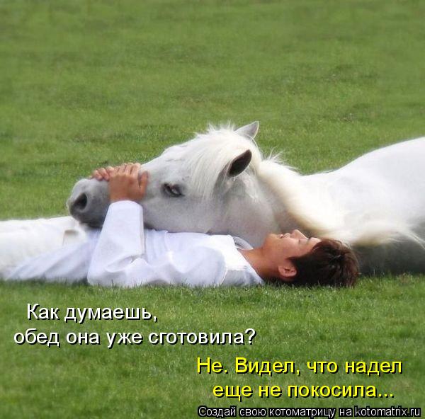 Как думаешь, Не. Видел, что надел еще не покосила... обед она уже сготовила?... Котоматрица: Как думаешь, Не. Видел, что надел еще не покосила... обед она уже сготовила?