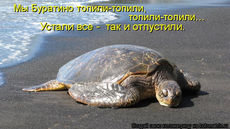 Мы Буратино топили-топили, топили-топили… Устали все - так и отпустили.... Котоматрица: Мы Буратино топили-топили, топили-топили… Устали все - так и отпустили.