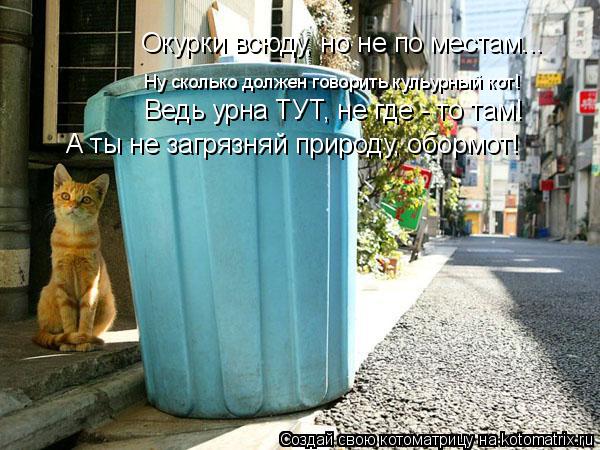 Окурки всюду, но не по местам... Ну сколько должен говорить кульурный кот! Ведь урна ТУТ, не где - то... Котоматрица: Окурки всюду, но не по местам... Ну сколько должен говорить кульурный кот! Ведь урна ТУТ, не где - то там! А ты не загрязняй природу, обормот!