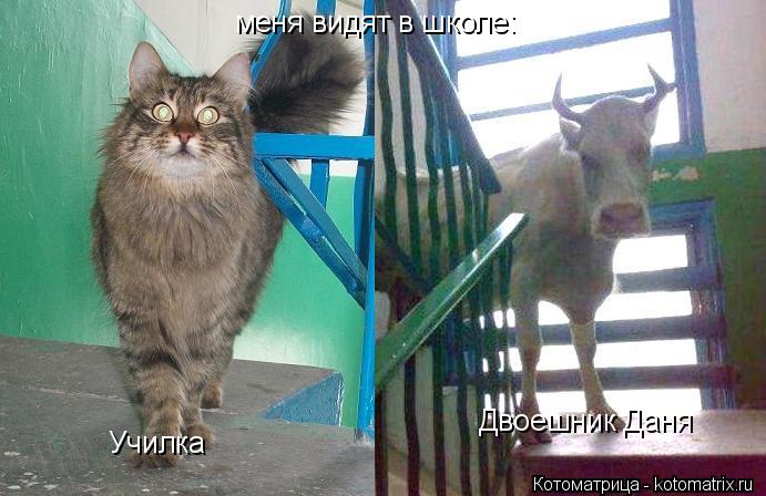 меня видят в школе: Училка Двоешник Даня... Котоматрица: меня видят в школе: Училка Двоешник Даня