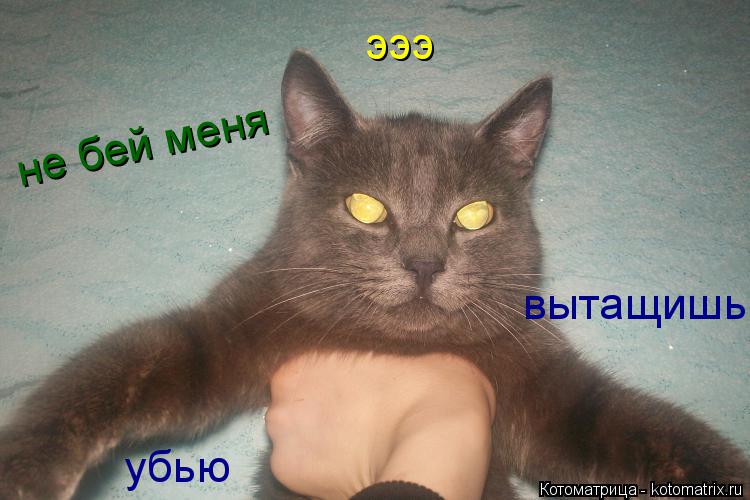 эээ не бей меня убью вытащишь... Котоматрица: эээ не бей меня убью вытащишь