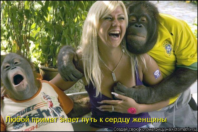 Котоматрица: Любой примат знает путь к сердцу женщины