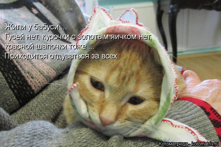 Жили у бабуси ... Гусей нет, курочки с золотым яичком нет, красной шапочки тоже ... Приходится отдува... Котоматрица: Жили у бабуси ... Гусей нет, курочки с золотым яичком нет, красной шапочки тоже ... Приходится отдуваться за всех.