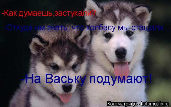 -Как думаешь,застукали? -Откуда им знать, что колбасу мы стащили... -На Ваську подумают!... Котоматрица: -Как думаешь,застукали? -Откуда им знать, что колбасу мы стащили... -На Ваську подумают!