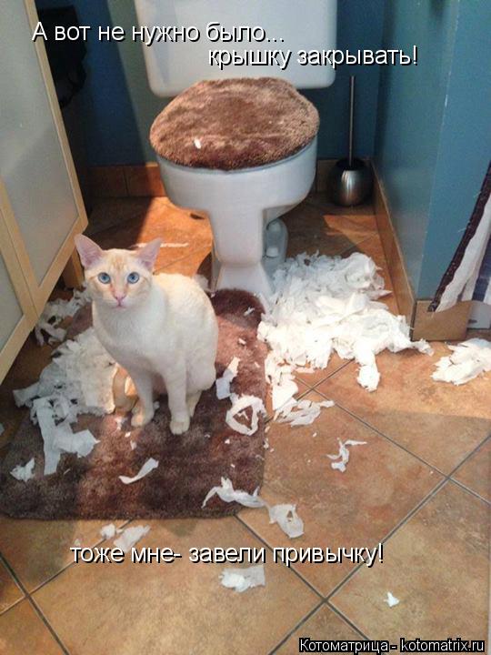 Котоматрица: А вот не нужно было... крышку закрывать! тоже мне- завели привычку!