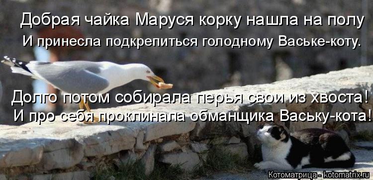 Добрая чайка Маруся корку нашла на полу И принесла подкрепиться голодному Ваське-коту. Долго потом со... Котоматрица: Добрая чайка Маруся корку нашла на полу И принесла подкрепиться голодному Ваське-коту. Долго потом собирала перья свои из хвоста! И про себ