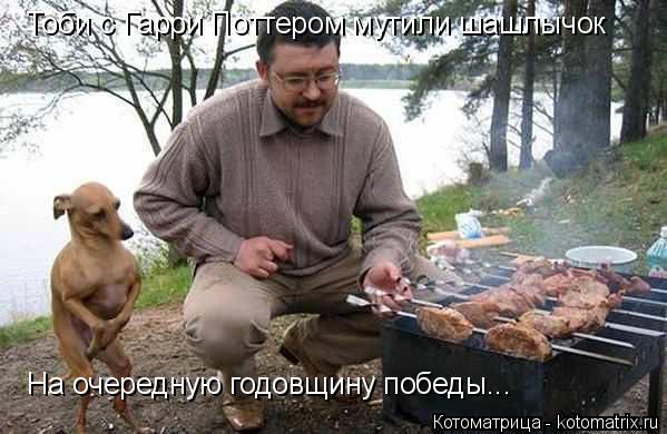 Тоби с Гарри Поттером мутили шашлычок На очередную годовщину победы...... Котоматрица: Тоби с Гарри Поттером мутили шашлычок На очередную годовщину победы...