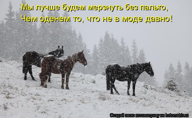 Чем оденем то, что не в моде давно! Мы лучше будем мерзнуть без пальто,... Котоматрица: Чем оденем то, что не в моде давно! Мы лучше будем мерзнуть без пальто,