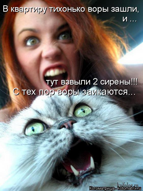 В квартиру тихонько воры зашли, и ... тут взвыли 2 сирены!!! С тех пор воры заикаются...... Котоматрица: В квартиру тихонько воры зашли, и ... тут взвыли 2 сирены!!! С тех пор воры заикаются...