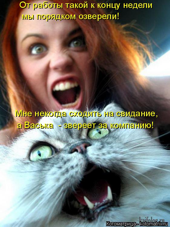 От работы такой к концу недели мы порядком озверели! Мне некогда сходить на свидание, а Васька - зве... Котоматрица: От работы такой к концу недели мы порядком озверели! Мне некогда сходить на свидание, а Васька - звереет за компанию!