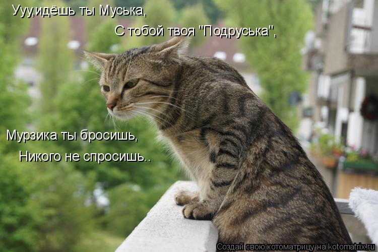 Ууу,идёшь ты Муська, С тобой твоя "Подруська", Мурзика ты бросишь, Никого не спросишь..... Котоматрица: Ууу,идёшь ты Муська, С тобой твоя "Подруська", Мурзика ты бросишь, Никого не спросишь..