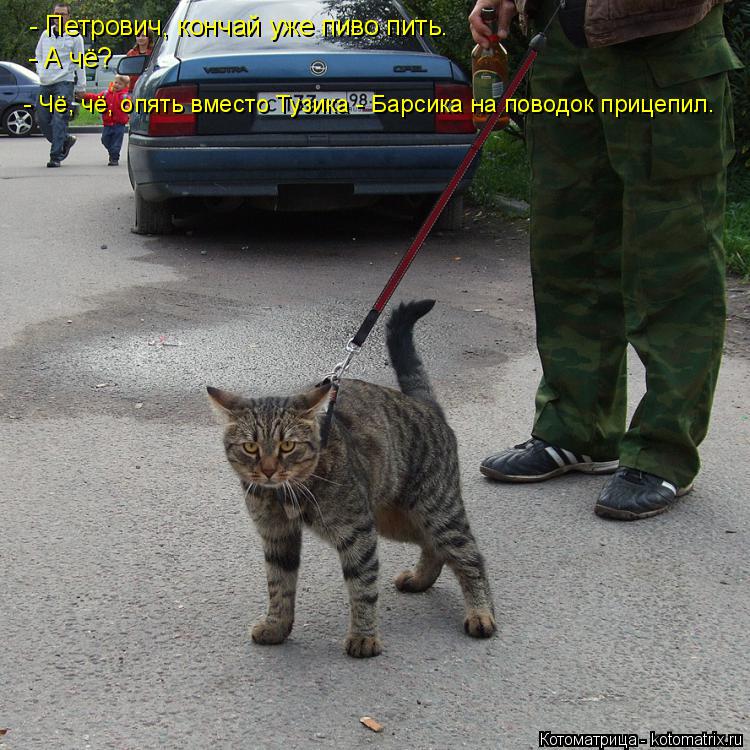- Петрович, кончай уже пиво пить. - А чё? - Чё, чё, опять вместо Тузика - Барсика на поводок прицепи... Котоматрица: - Петрович, кончай уже пиво пить. - А чё? - Чё, чё, опять вместо Тузика - Барсика на поводок прицепил.
