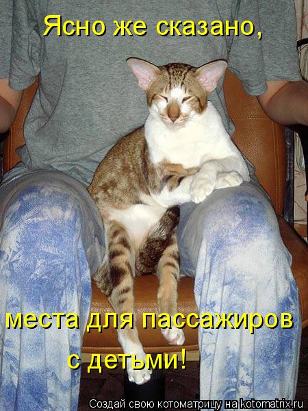 места для пассажиров с детьми! Ясно же сказано,... Котоматрица: места для пассажиров с детьми! Ясно же сказано,