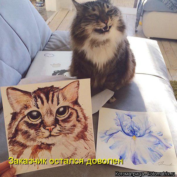 Котоматрица: Заказчик остался доволен