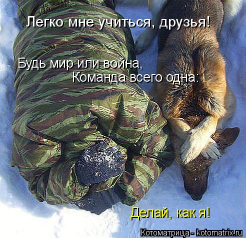 Делай, как я! Команда всего одна: Легко мне учиться, друзья! Будь мир или война,... Котоматрица: Делай, как я! Команда всего одна: Легко мне учиться, друзья! Будь мир или война,