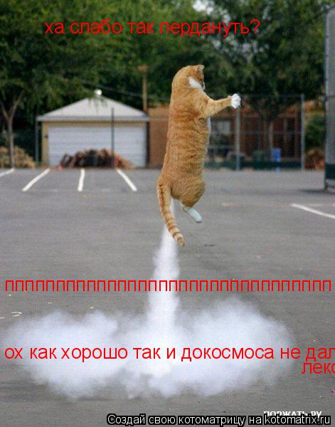 ха слабо так пердануть? пппппппппппппппппппппппппппппппп ох как хорошо так и докосмоса не далеко леко... Котоматрица: ха слабо так пердануть? пппппппппппппппппппппппппппппппп ох как хорошо так и докосмоса не далеко леко