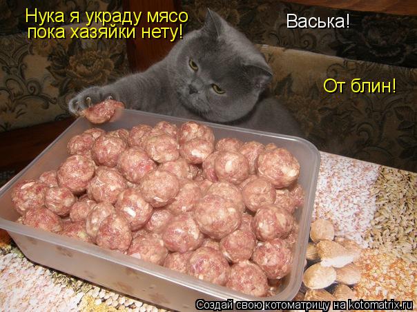 Котоматрица: Нука я украду мясо пока хазяйки нету! Васька! От блин!