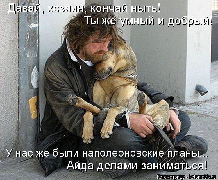 Давай, хозяин, кончай ныть! Ты же умный и добрый! Айда делами заниматься! У нас же были наполеоновски... Котоматрица: Давай, хозяин, кончай ныть! Ты же умный и добрый! Айда делами заниматься! У нас же были наполеоновские планы...