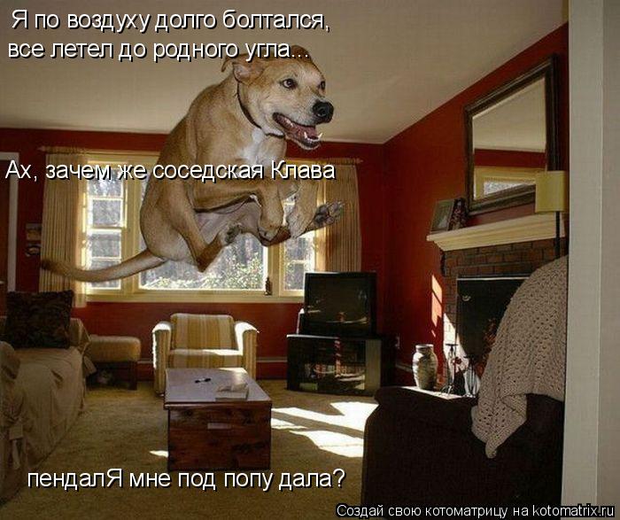 Я по воздуху долго болтался, все летел до родного угла... Ах, зачем же соседская Клава пендалЯ мне ... Котоматрица: Я по воздуху долго болтался, все летел до родного угла... Ах, зачем же соседская Клава пендалЯ мне под попу дала?