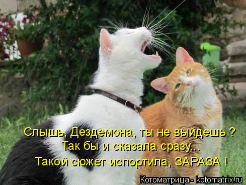 Котоматрица: Слышь, Дездемона, ты не выйдешь ? Так бы и сказала сразу... Такой сюжет испортила, ЗАРАЗА !