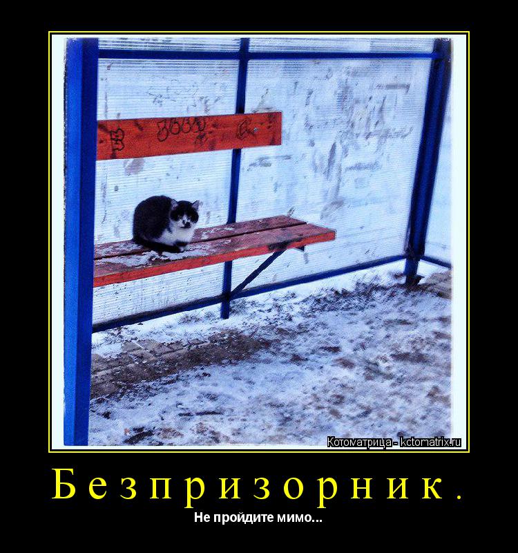 Безпризорник. Не пройдите мимо...... Котоматрица: Безпризорник. Не пройдите мимо...