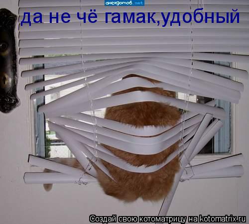 Котоматрица: да не чё гамак,удобный