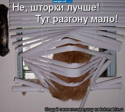 Не, шторки лучше! Тут разгону мало!... Котоматрица: Не, шторки лучше! Тут разгону мало!