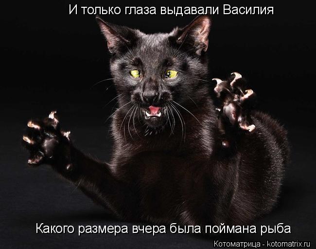 Котоматрица: И только глаза выдавали Василия Какого размера вчера была поймана рыба