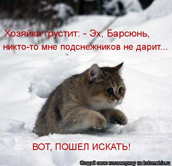 Хозяйка грустит: - Эх, Барсюнь, никто-то мне подснежников не дарит... ВОТ, ПОШЕЛ ИСКАТЬ!... Котоматрица: Хозяйка грустит: - Эх, Барсюнь, никто-то мне подснежников не дарит... ВОТ, ПОШЕЛ ИСКАТЬ!