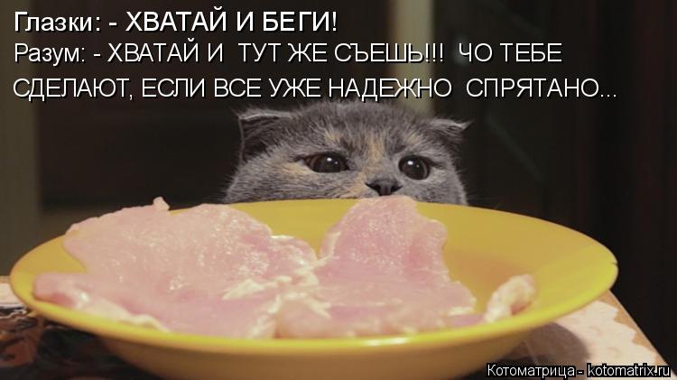 Глазки: - ХВАТАЙ И БЕГИ! СДЕЛАЮТ, ЕСЛИ ВСЕ УЖЕ НАДЕЖНО СПРЯТАНО... Разум: - ХВАТАЙ И ТУТ ЖЕ СЪЕШЬ!!... Котоматрица: Глазки: - ХВАТАЙ И БЕГИ! СДЕЛАЮТ, ЕСЛИ ВСЕ УЖЕ НАДЕЖНО СПРЯТАНО... Разум: - ХВАТАЙ И ТУТ ЖЕ СЪЕШЬ!!! ЧО ТЕБЕ