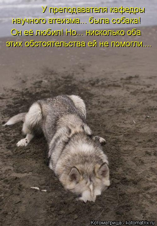 У преподавателя кафедры научного атеизма... была собака! Он её любил! Но... нисколько оба этих обс... Котоматрица: У преподавателя кафедры научного атеизма... была собака! Он её любил! Но... нисколько оба этих обстоятельства ей не помогли....
