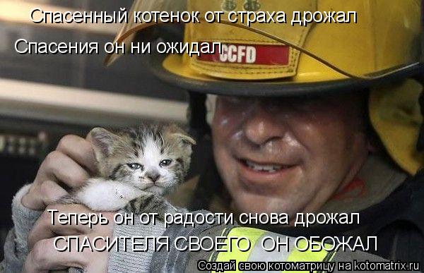 Спасенный котенок от страха дрожал Спасения он ни ожидал Теперь он от радости снова дрожал СПАСИТЕЛЯ ... Котоматрица: Спасенный котенок от страха дрожал Спасения он ни ожидал Теперь он от радости снова дрожал СПАСИТЕЛЯ СВОЕГО ОН ОБОЖАЛ