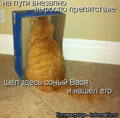 Котоматрица: на пути внезапно выросло препятствие шёл здесь соный Вася и нашёл его