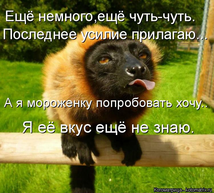 Котоматрица: Ещё немного,ещё чуть-чуть. Последнее усилие прилагаю... А я мороженку попробовать хочу.. Я её вкус ещё не знаю.