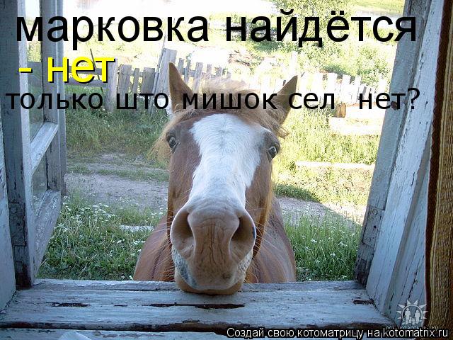 Котоматрица: марковка найдётся - нет только што мишок сел  нет?