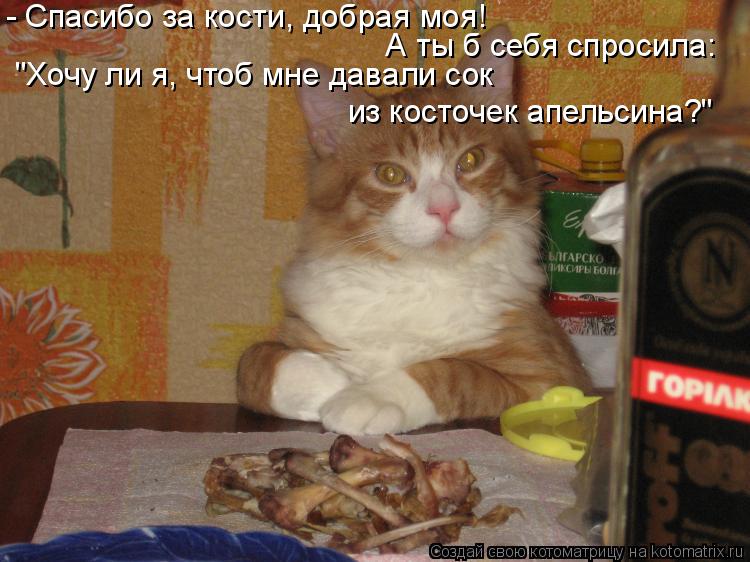 Котоматрица: - Спасибо за кости, добрая моя!  А ты б себя спросила: "Хочу ли я, чтоб мне давали сок  из косточек апельсина?"