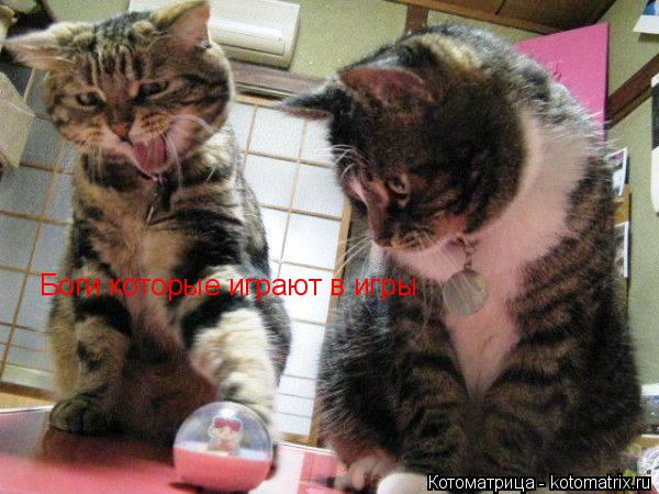 Котоматрица: Боги которые играют в игры