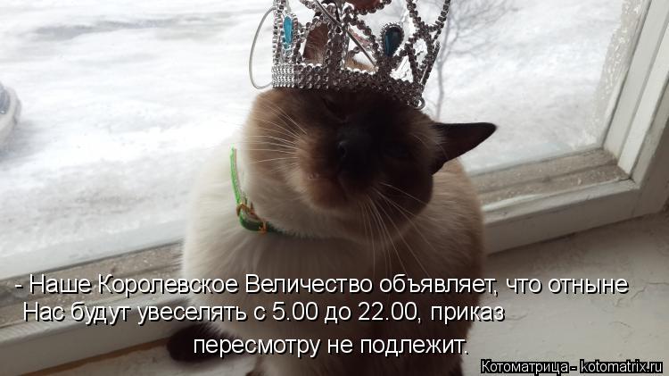 Котоматрица: - Наше Королевское Величество объявляет, что отныне Нас будут увеселять с 5.00 до 22.00, приказ  пересмотру не подлежит.