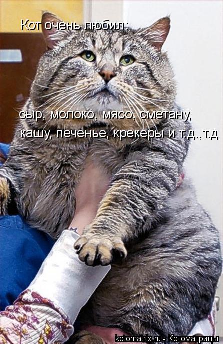 Котоматрица: Кот очень любил: сыр, молоко, мясо, сметану, кашу, печенье, крекеры и т.д.,т.д и т.д.