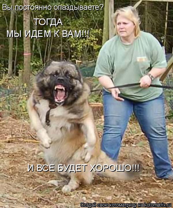 Вы постоянно опаздываете? МЫ ИДЕМ К ВАМ!!! ТОГДА И ВСЕ БУДЕТ ХОРОШО!!!... Котоматрица: Вы постоянно опаздываете? МЫ ИДЕМ К ВАМ!!! ТОГДА И ВСЕ БУДЕТ ХОРОШО!!!