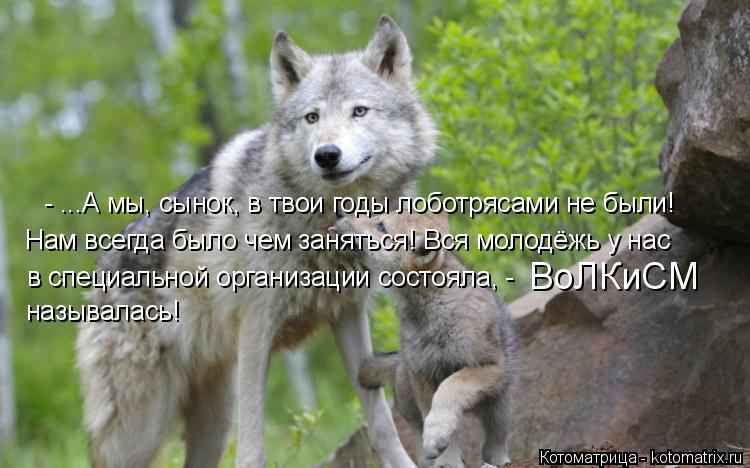 - ...А мы, сынок, в твои годы лоботрясами не были! Нам всегда было чем заняться! Вся молодёжь у нас ... Котоматрица: - ...А мы, сынок, в твои годы лоботрясами не были! Нам всегда было чем заняться! Вся молодёжь у нас называлась! в специальной организации сост