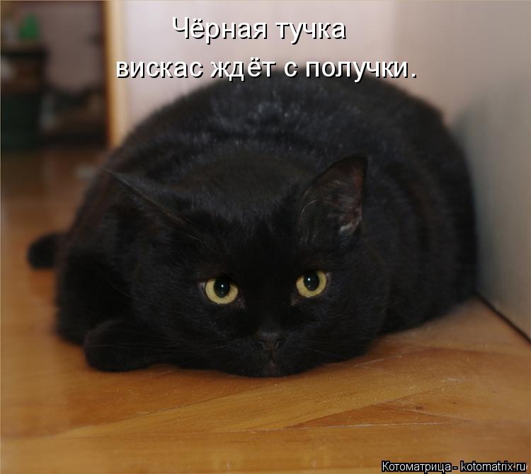 Чёрная тучка вискас ждёт с получки.... Котоматрица: Чёрная тучка вискас ждёт с получки.