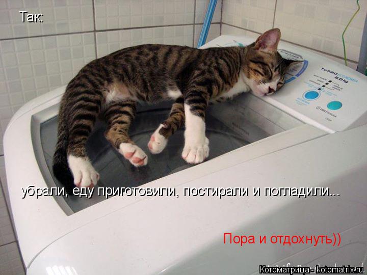Котоматрица: Так: убрали, еду приготовили, постирали и погладили... Пора и отдохнуть))