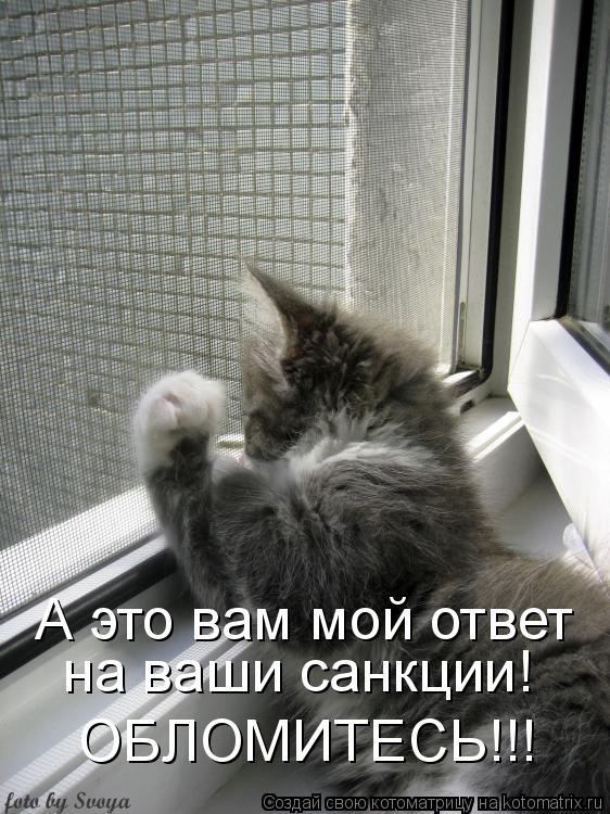 А это вам мой ответ на ваши санкции! ОБЛОМИТЕСЬ!!!... Котоматрица: А это вам мой ответ на ваши санкции! ОБЛОМИТЕСЬ!!!