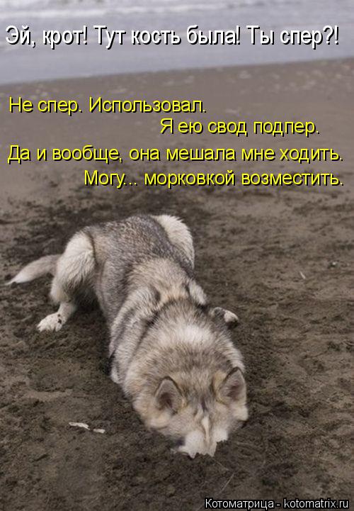 Эй, крот! Тут кость была! Ты спер?! Не спер. Использовал. Я ею свод подпер. Да и вообще, она мешала ... Котоматрица: Эй, крот! Тут кость была! Ты спер?! Не спер. Использовал. Я ею свод подпер. Да и вообще, она мешала мне ходить. Могу... морковкой возместить.