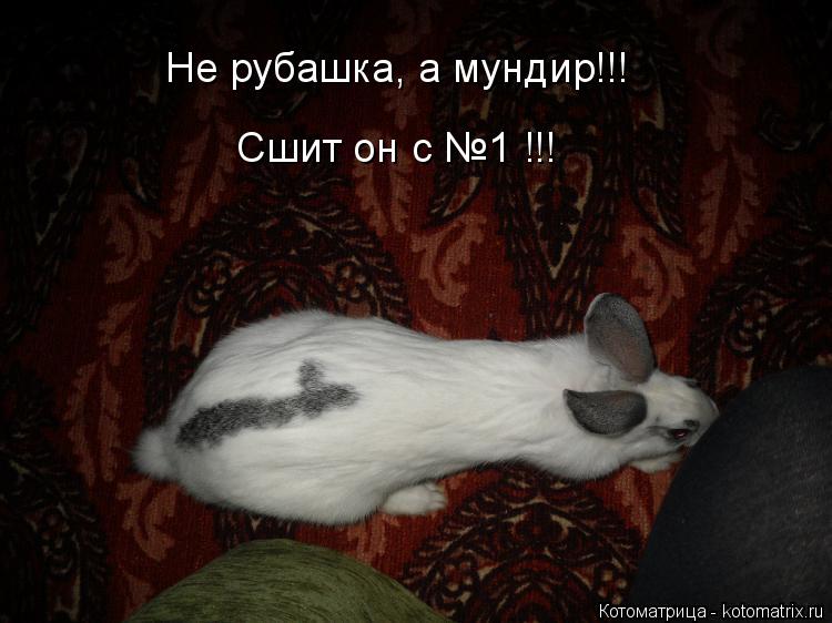 Не рубашка, а мундир!!! Сшит он с №1 !!!... Котоматрица: Не рубашка, а мундир!!! Сшит он с №1 !!!