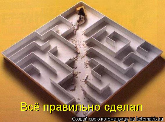 Котоматрица: Всё правильно сделал