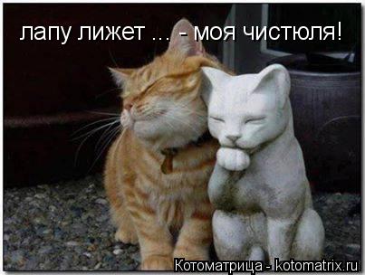 Котоматрица: лапу лижет ... - моя чистюля!