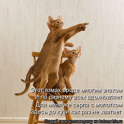 Котоматрица: Здесь до кучи как раз не хватает Для меня же серпа с молотком И по разному всех вдохновляет Этот взмах вроде многим знаком